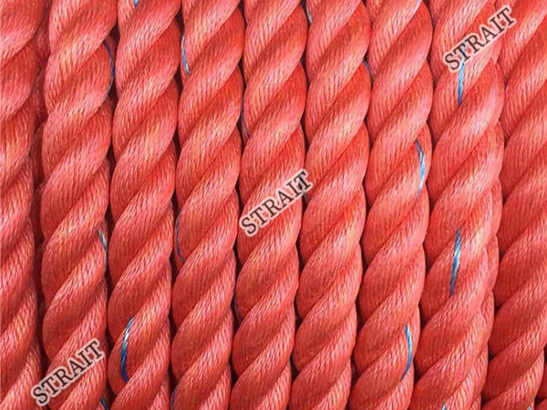 Polypropylene Labels